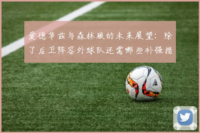 爱德华兹与森林狼的未来展望：除了后卫阵容外球队还需哪些补强措施