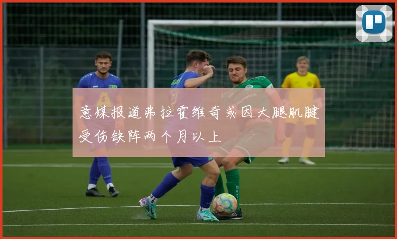 意媒报道弗拉霍维奇或因大腿肌腱受伤缺阵两个月以上