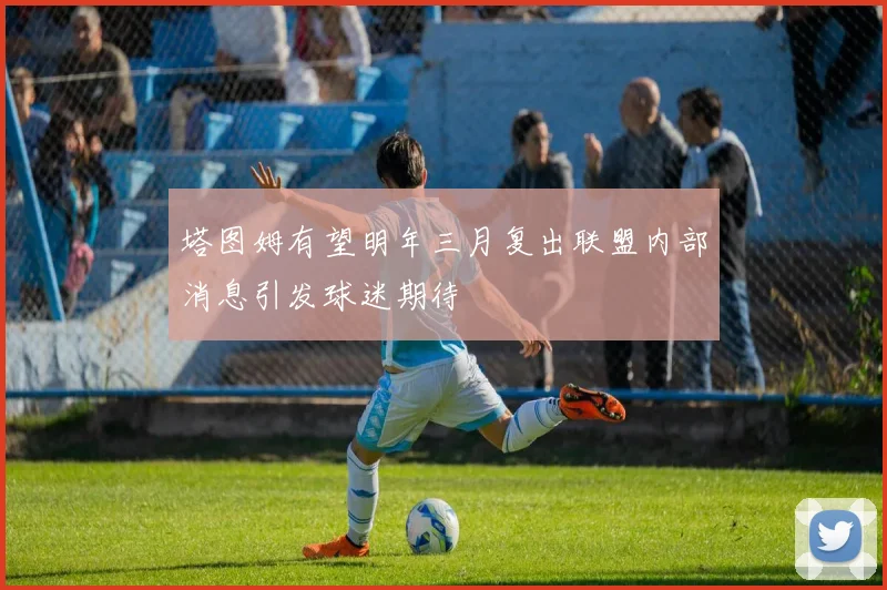 塔图姆有望明年三月复出联盟内部消息引发球迷期待