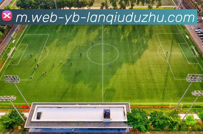 奖项图1